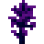 Фиолетовая светокость (Блок)